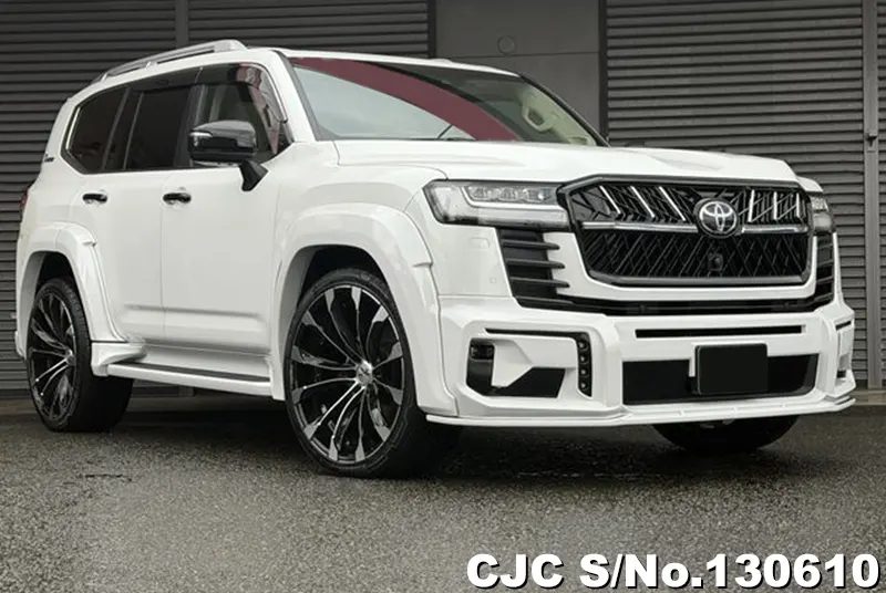 Toyota Land Cruisers photo 1