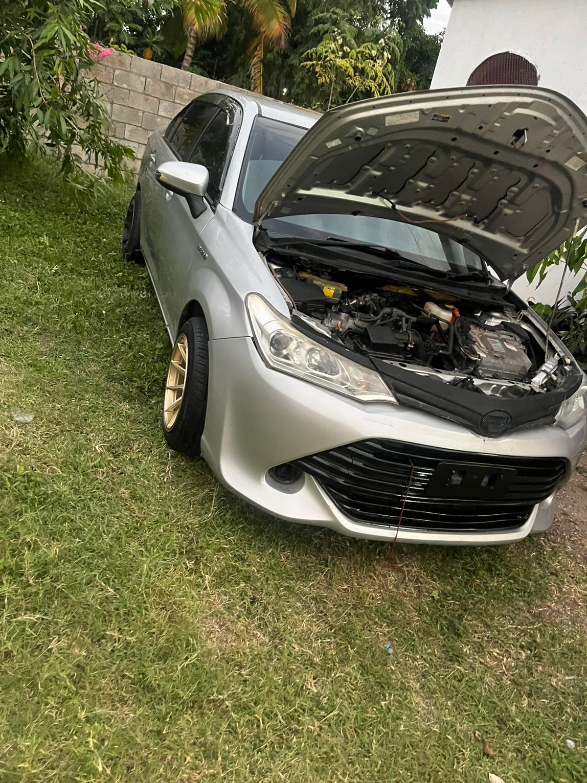 2015 Toyota Axio hybrid