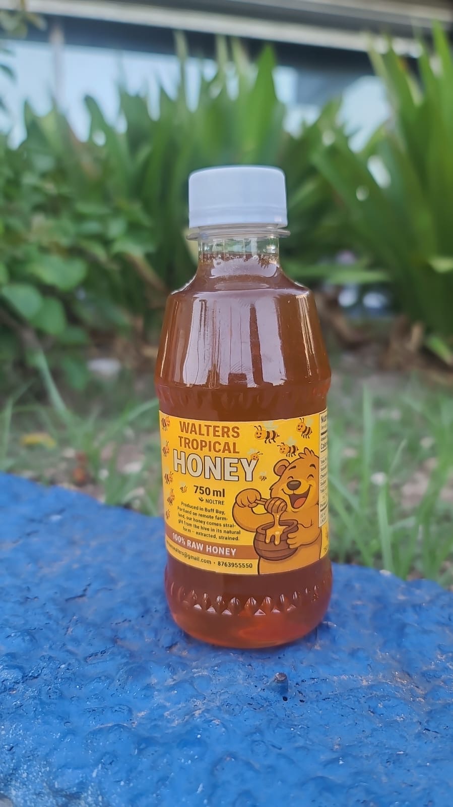 Waters Tropical honey 250 ml