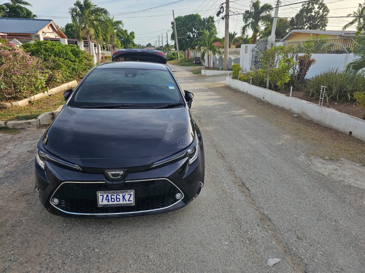 2020 Toyota Corolla wxb photo 3