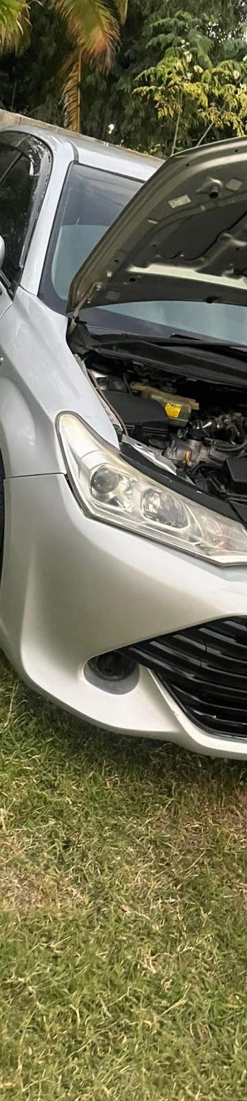 2015 Toyota Axio hybrid