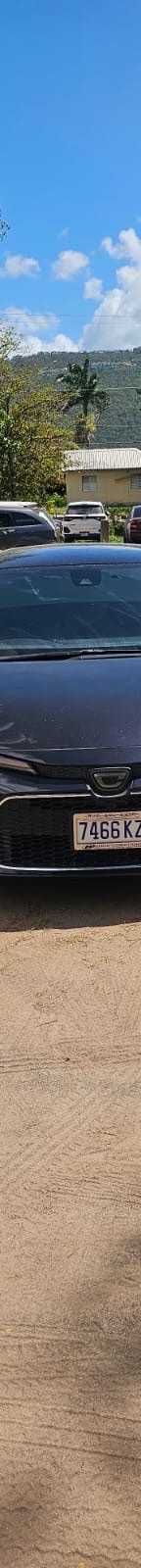 2020 Toyota Corolla wxb photo 5